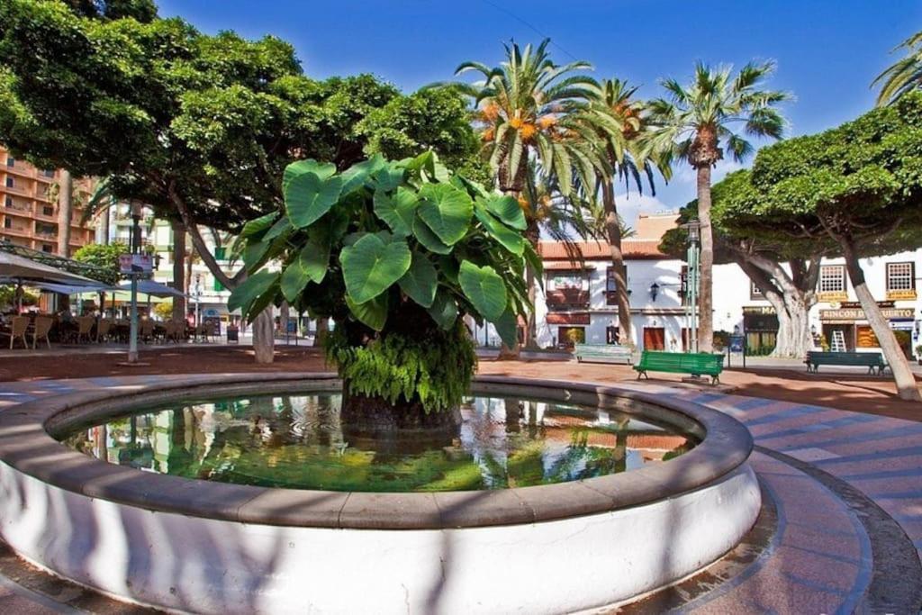 Centrico, Comodo Y Bello Apto En Puerto De La Cruz Экстерьер фото